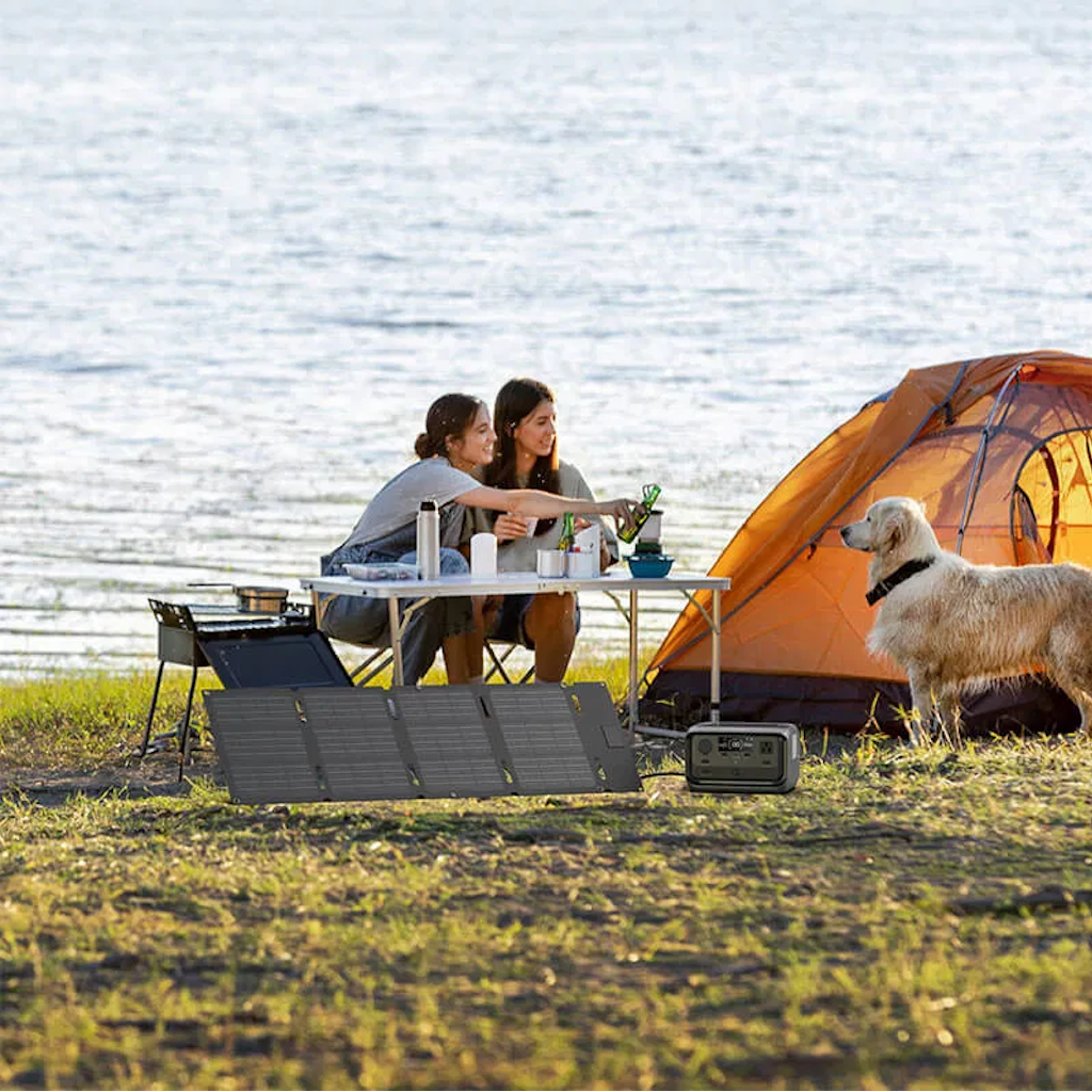 Panel Solar Plegable 60W Ecoflow Tipo C_4