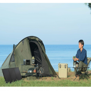 Panel Solar Plegable Ecoflow 60W _5